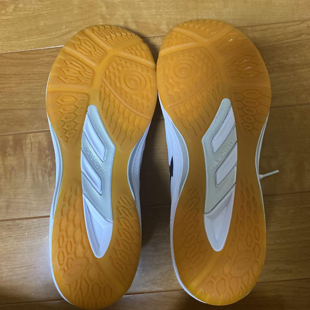 新品 未使用 バレーボールシューズ   ローテジャパン