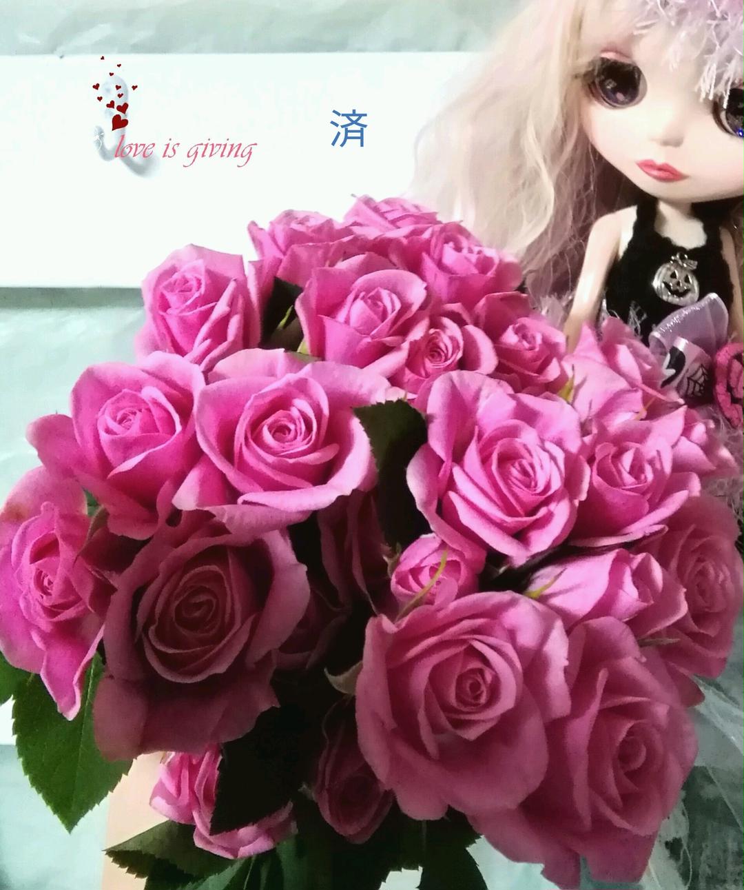 ドライフラワー   スタンダード薔薇～レッドーB★