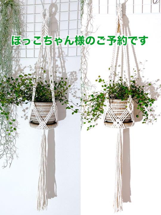 こちらは専用ページです