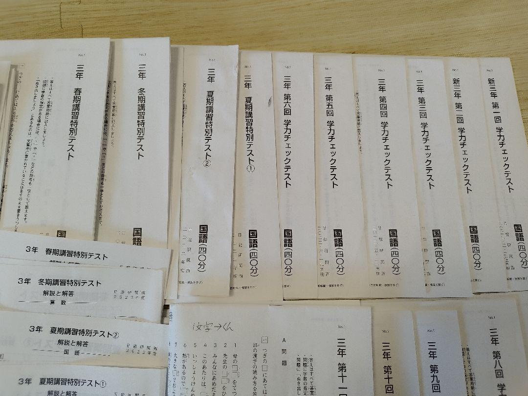 日能研　3年　育成テスト
