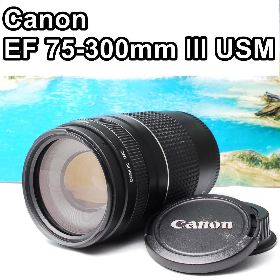 美品】Canon EF 75-300mm 1:4-5.6 Ⅲ 超望遠レンズ - メルカリ