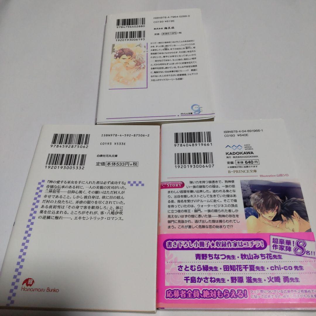 BL小説 文庫本まとめ売り 10冊セット - メルカリ