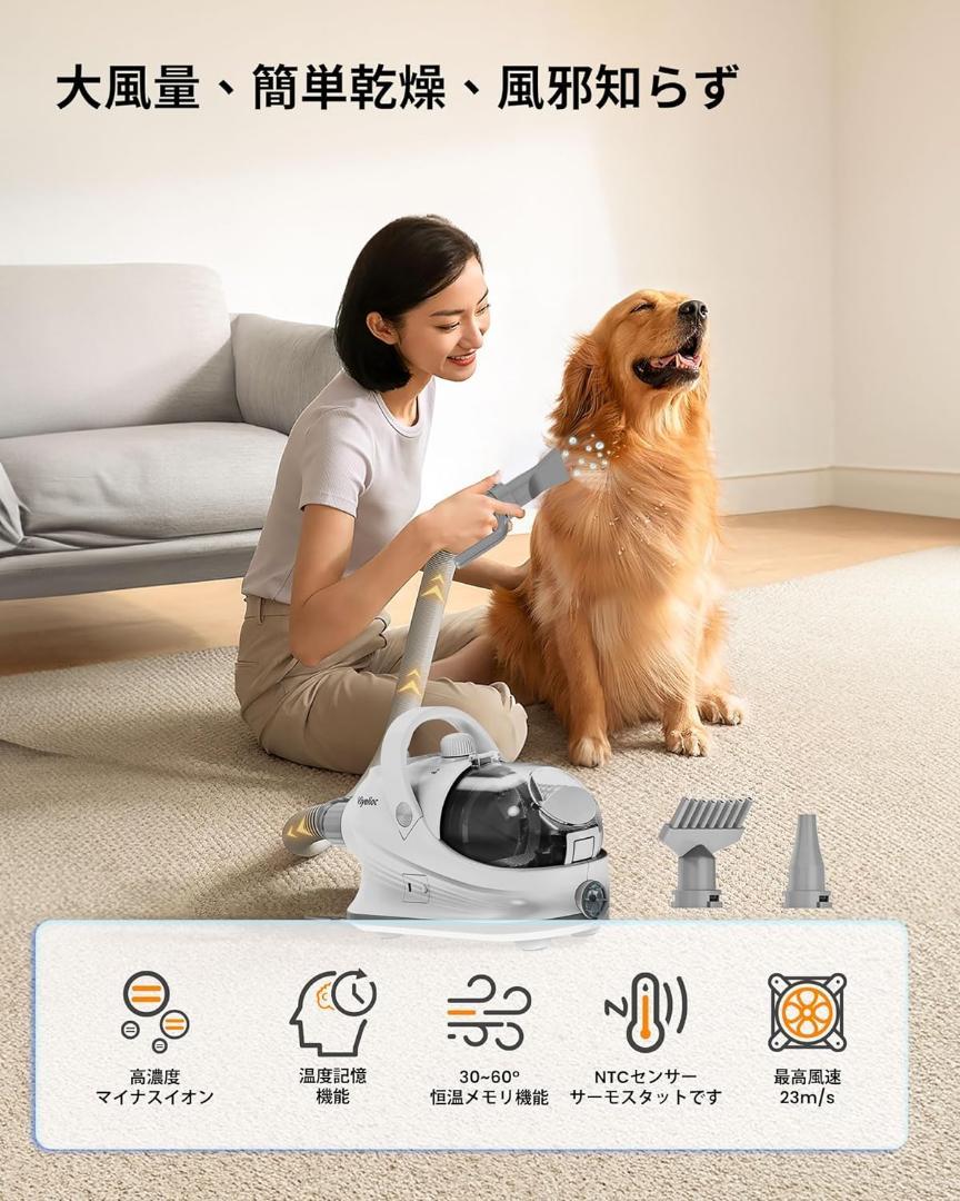 犬