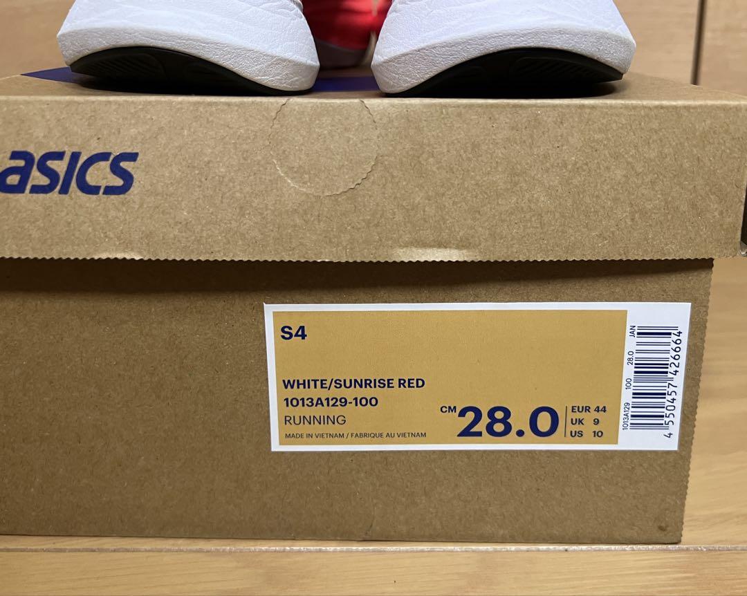 ◈ 28cm