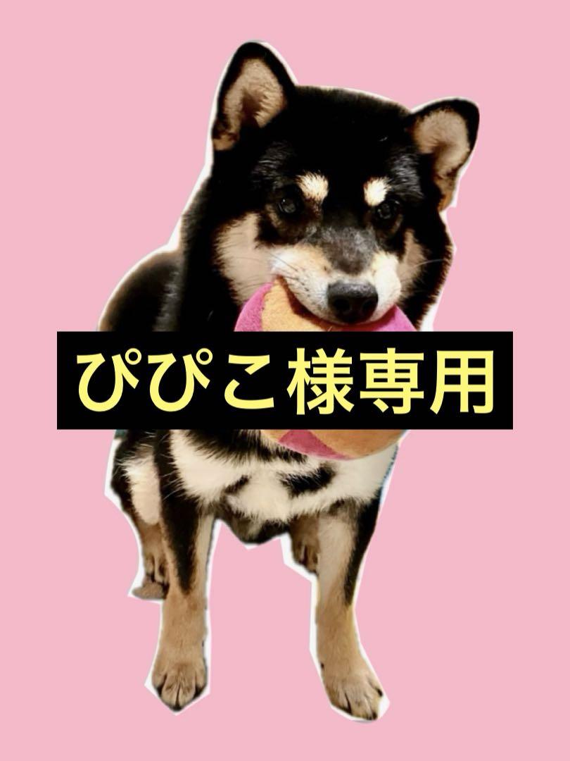 ぴぴこ様専用