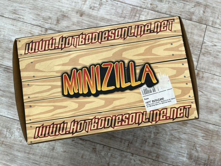 MINI ZILLA「ミニジーラRTR」