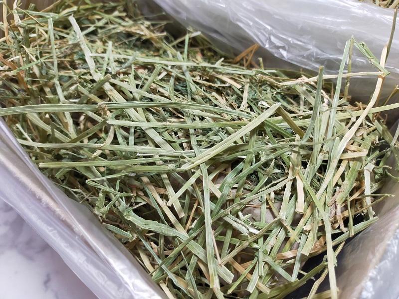 (12/22まで) カナダ産 チモシー 30kg スーパープレミアム １番刈