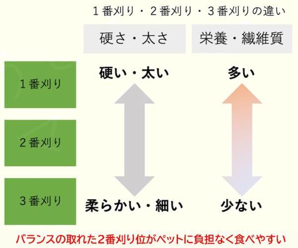 (12/22まで) カナダ産 チモシー 30kg スーパープレミアム １番刈