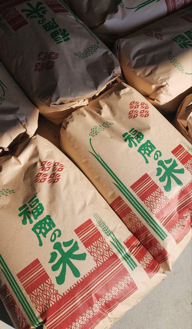 特価★福岡県産米　元気つくし　産地直送★１０キロ
