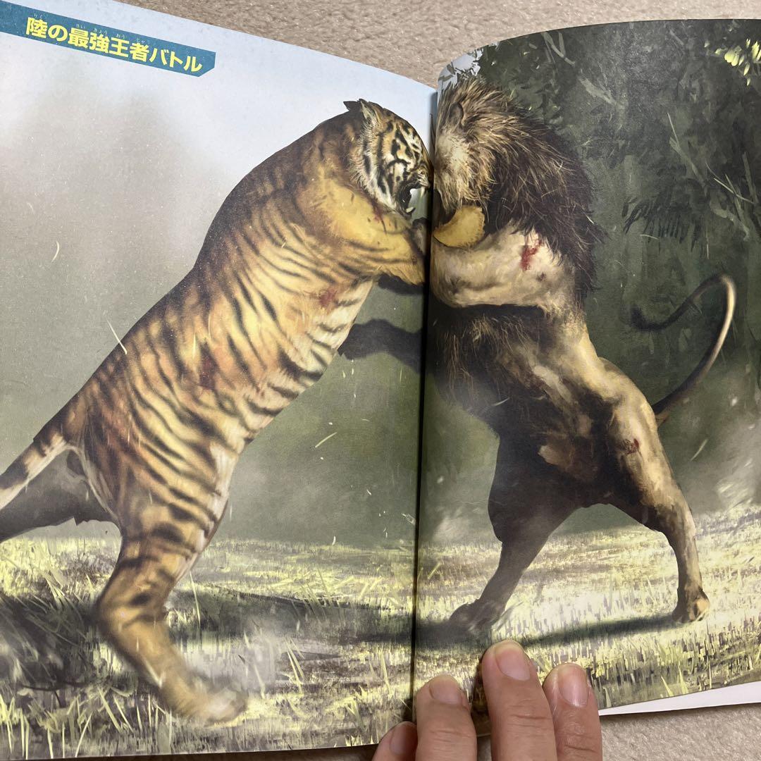 どっちが強い!? ライオンvsトラ 陸の最強王者バトル - メルカリ
