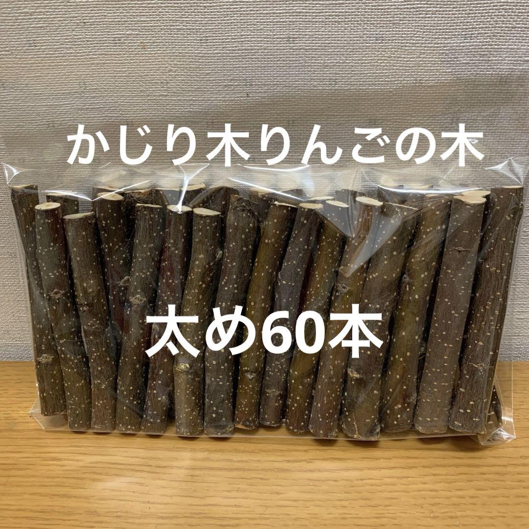 かじり木　りんごの木　太め60本