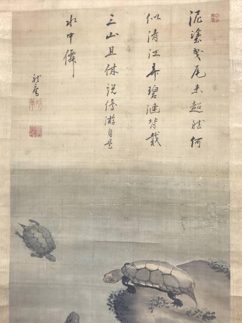 【真作】龍庵/群亀画詩/亀図/掛軸/名家伝来/AB-980