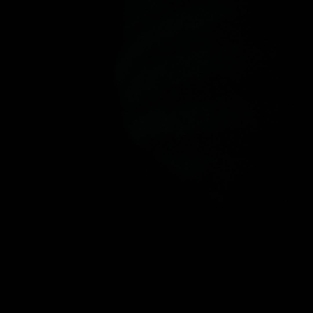 黒豆大豆目立った傷や汚れなし