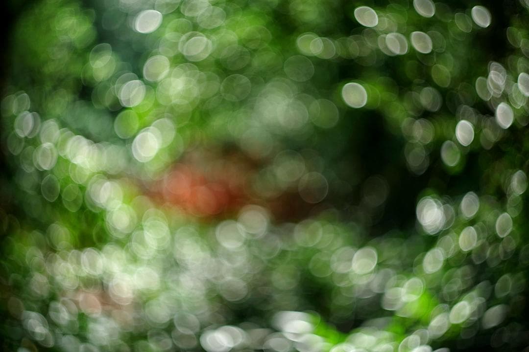 48　分解洗浄済　初期型　Helios44-2 　新品同様　ヘリオス 48 分解洗浄済 初期型 Helios44-2 新品同様 ヘリオス