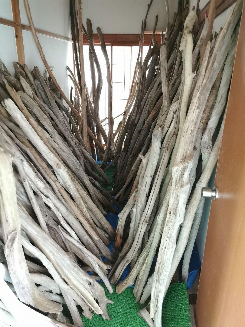 南信州 天然流木 長い枝流木 アソート販売 240cmから270cm 2本 南信州 天然流木 長い枝流木 アソート販売 240cmから270cm 2本