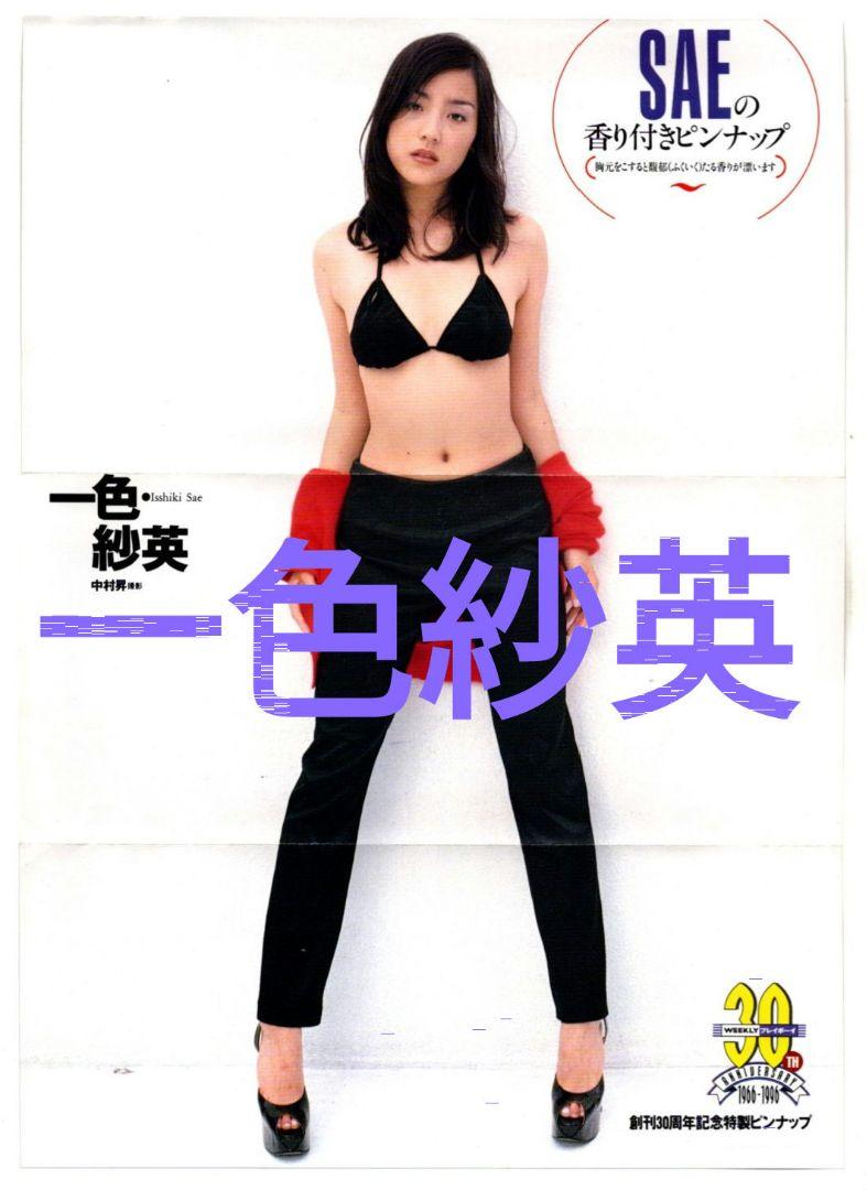 2025年最新】Yahoo!オークション -山田まりやポスター(ポスター
