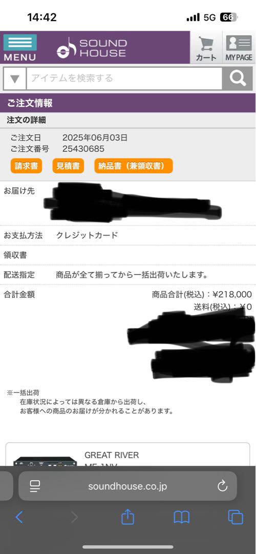 [未使用]Great River ME-1NV