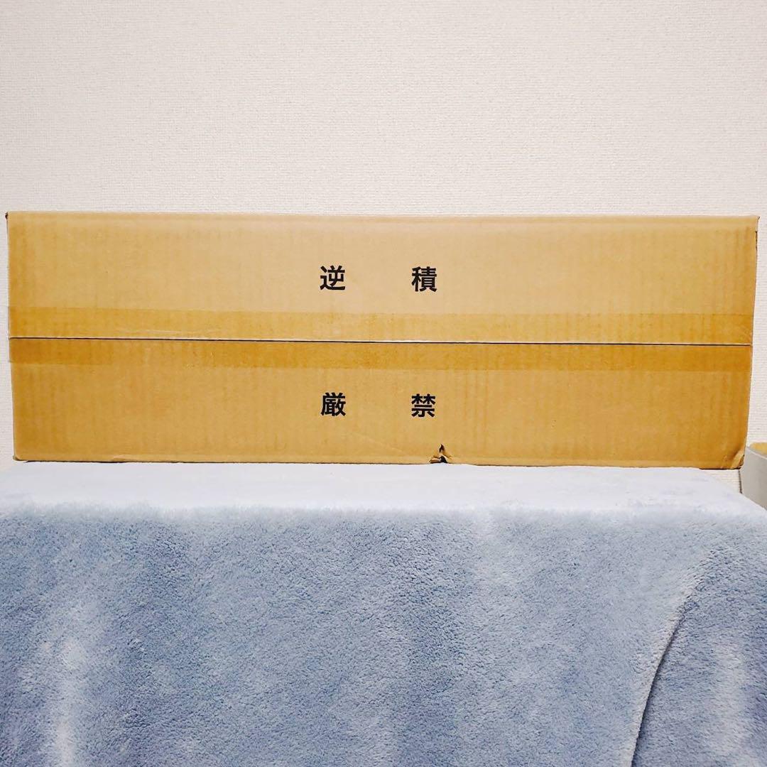 新品 未使用 掃除機 アイリスオーヤマ コードレス サイクロン FP03