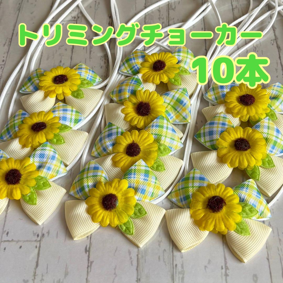 トリミング チョーカー 111本 トリミングチョーカー 肉球 698 - メルカリ