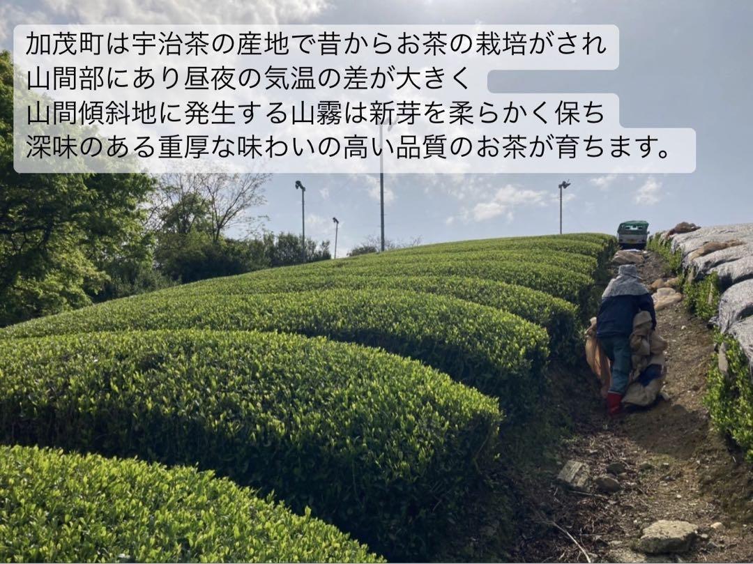 【無農薬】緑茶堪能セット　抹茶20g・煎茶40g・かぶせ茶40g・春番茶100g