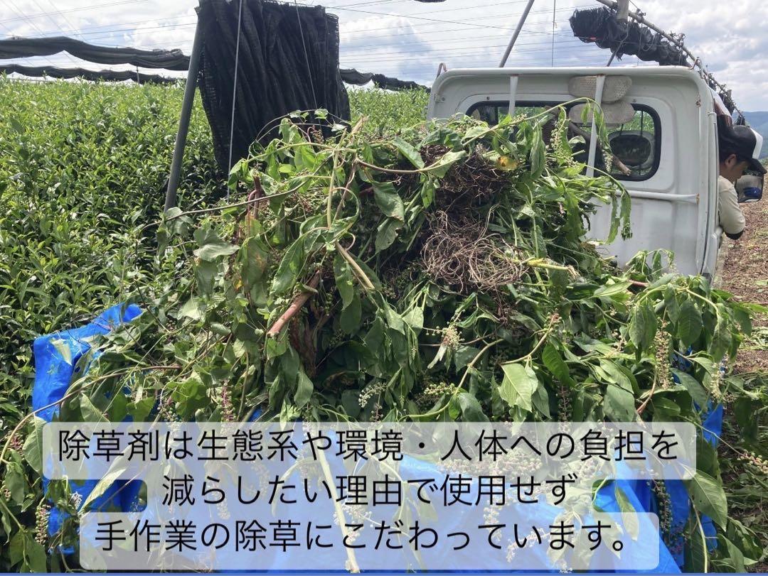 【無農薬】緑茶堪能セット　抹茶20g・煎茶40g・かぶせ茶40g・春番茶100g