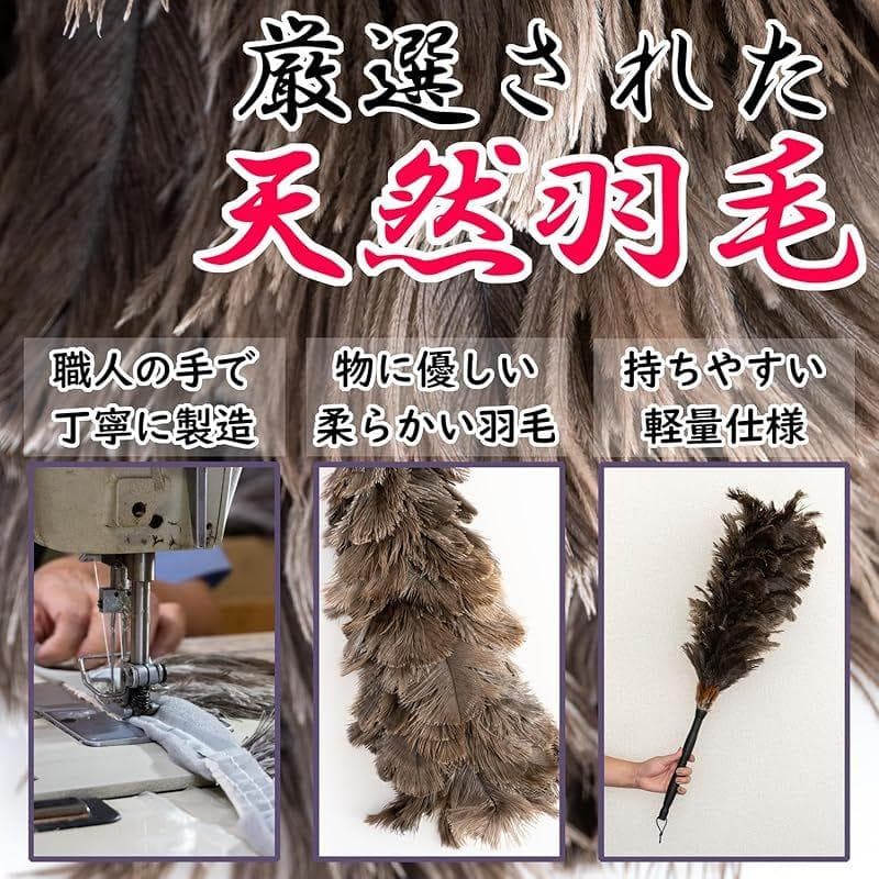 オーストリッチ YD-80