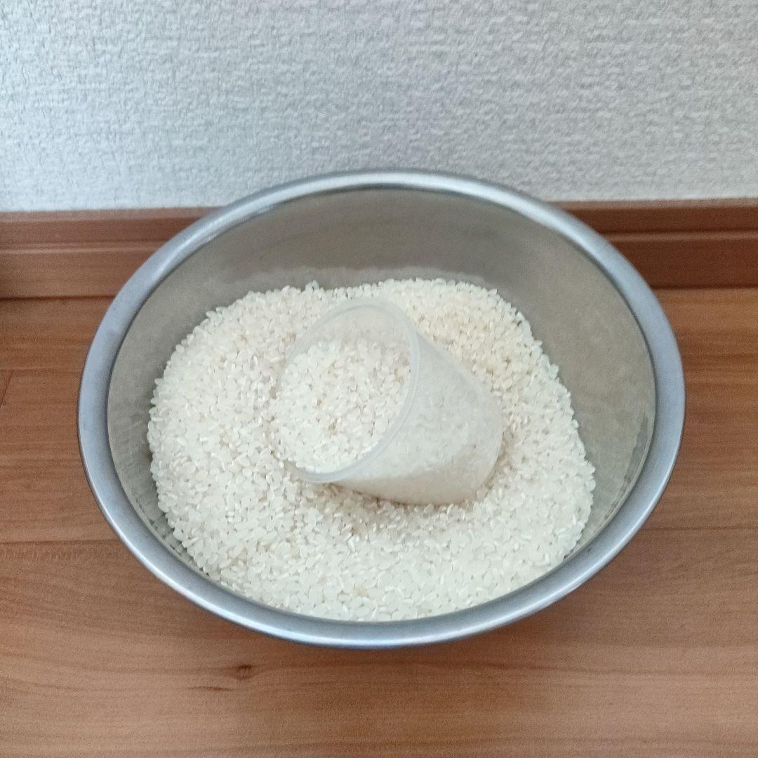 茨城県産　コシヒカリ　 白米　10キロ　令和6年度産