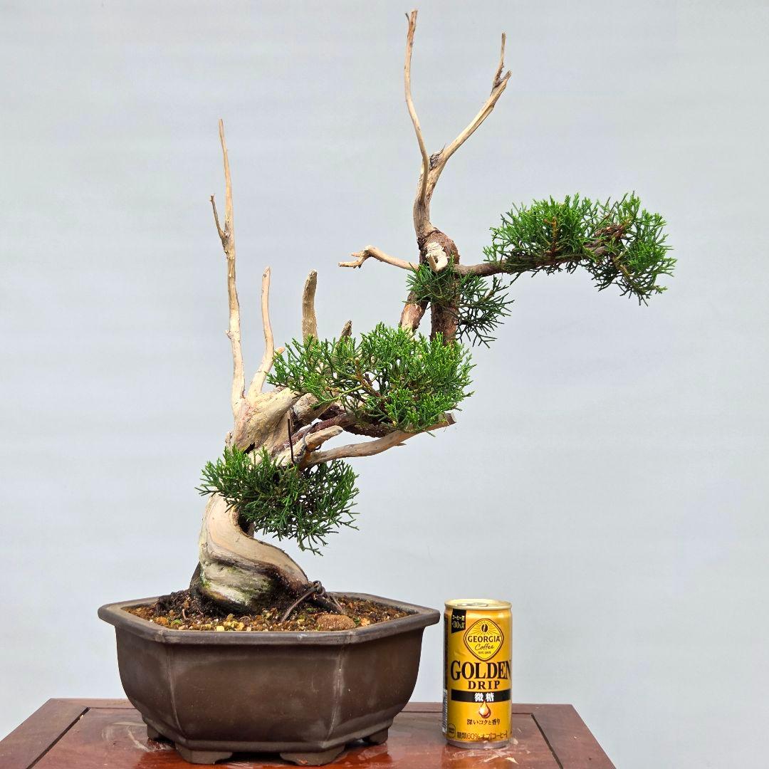 リクエスト 2点 まとめ商品 バトスピ 紫抜刀 バトスピ 紫アルティメット