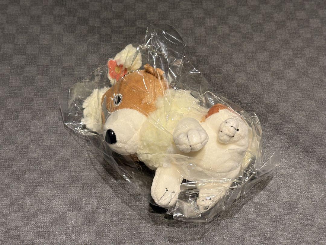 緑黄色社会 カリフラワー　ぬいぐるみキーホルダー 緑黄色社会 カリフラワーぬいぐるみキーホルダー - メルカリ