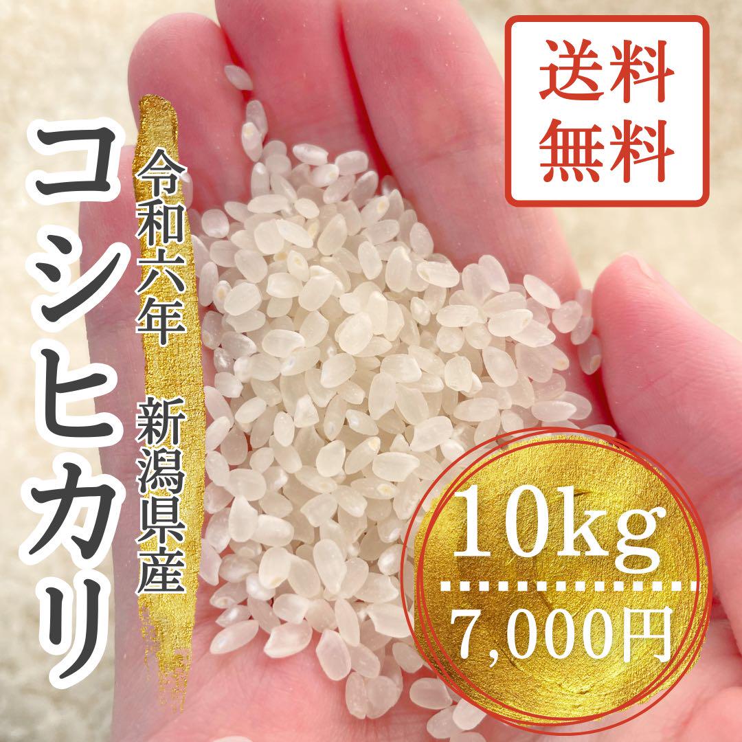 新米】新潟県産コシヒカリ 10キロ - 米・雑穀・粉類買う