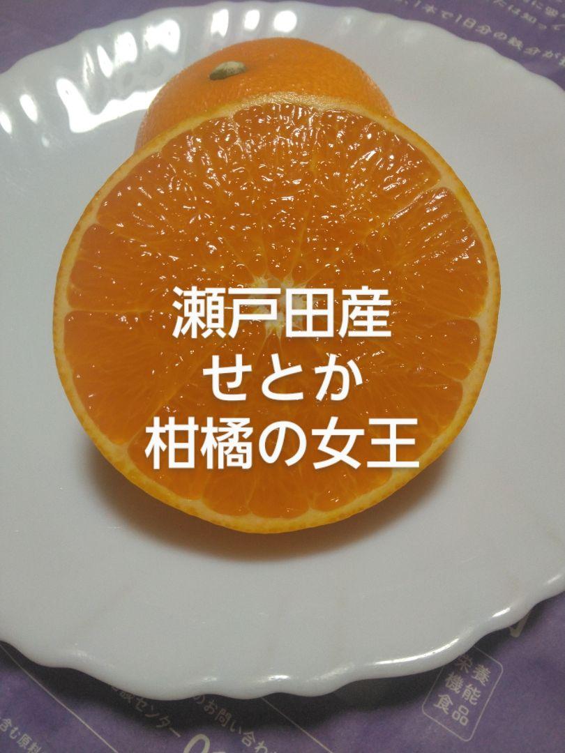 瀬戸田産　秀品せとか　箱込み5㎏
