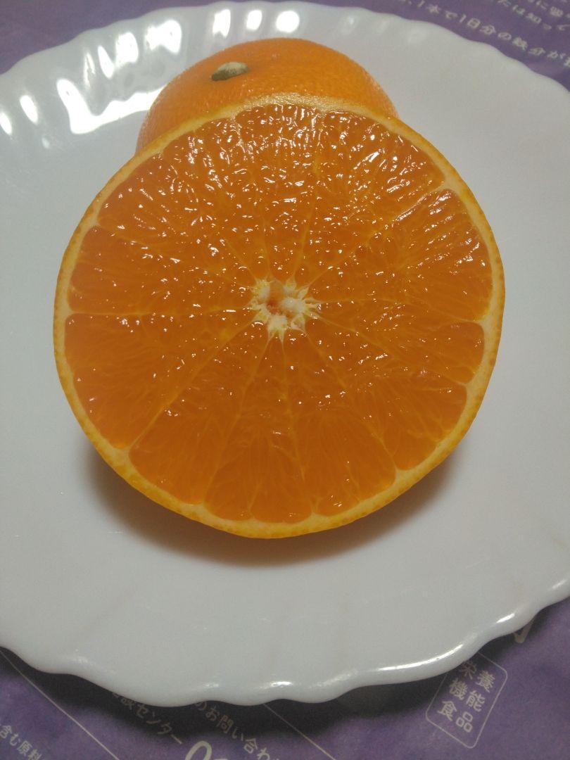 瀬戸田産　秀品せとか　箱込み5㎏