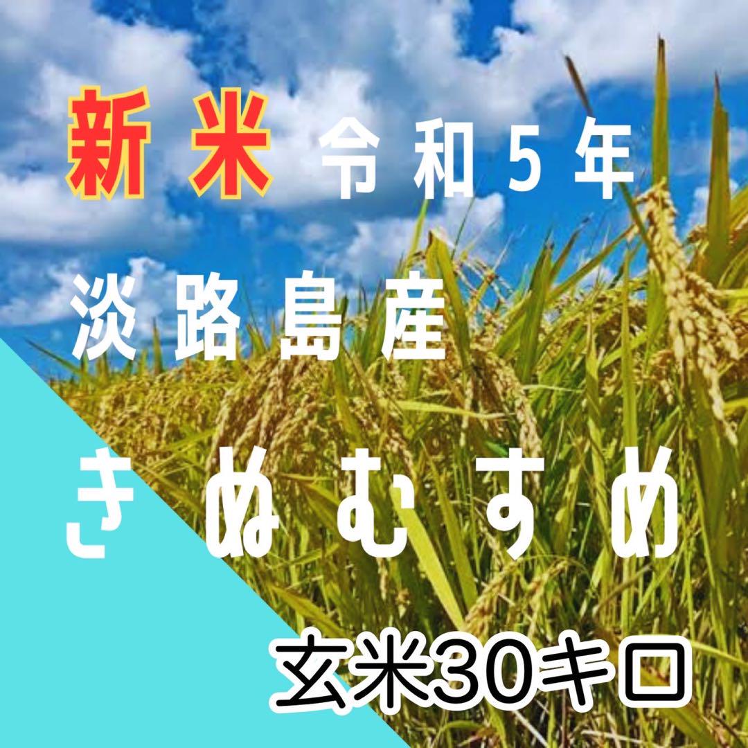 新米 令和5年産 きぬむすめ 玄米30キロ 淡路島産 精米小分け可　　30kg