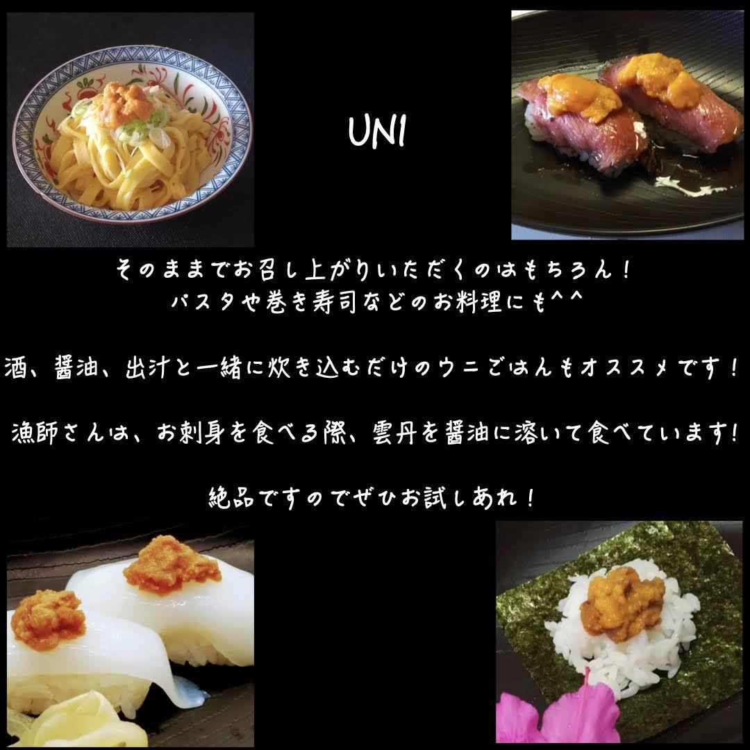 うに.ウニ.雲丹.塩雲丹.最安値 1本送料込無添加 10