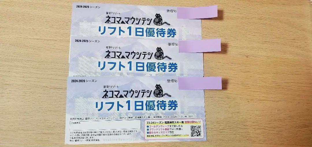 ネコママウンテン リフト1日優待券 3枚セット