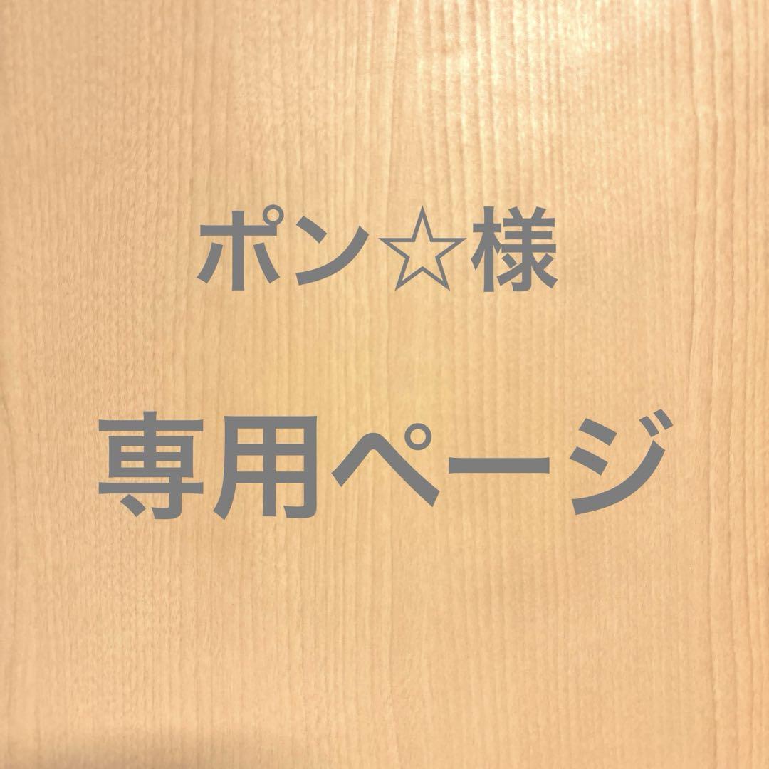 ポン☆様 専用ページ