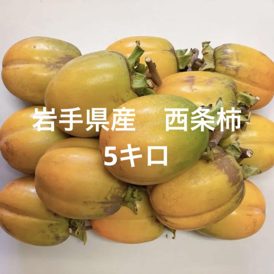 岩手県産 西条柿 5キロ - メルカリ 岩手県産 西条柿 5キロ - メルカリ