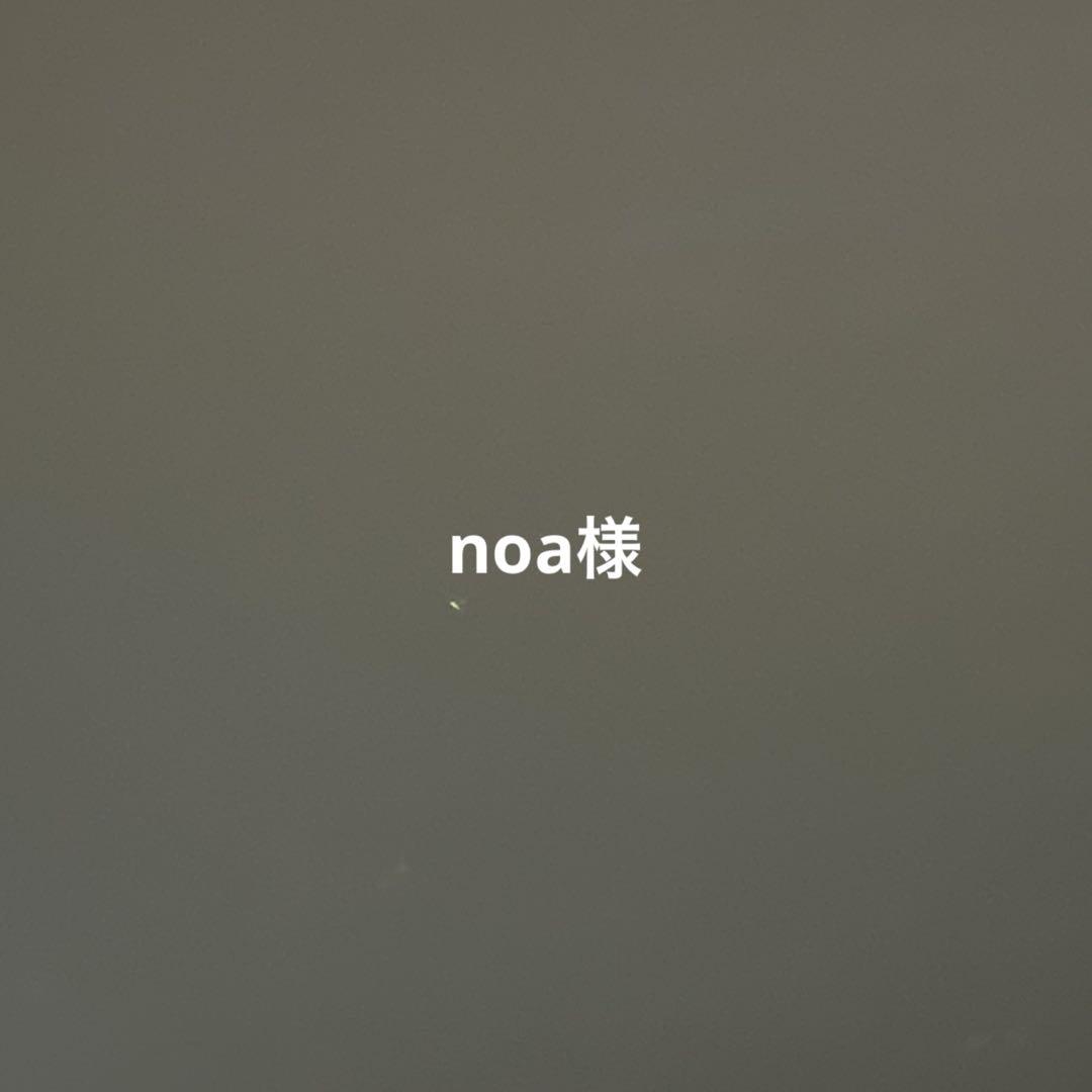 アイドル noa