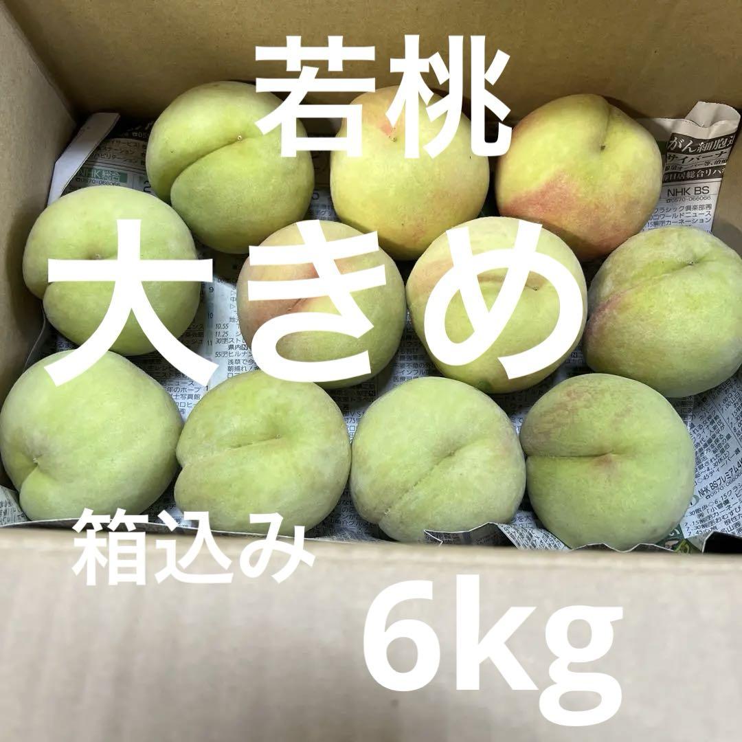 ⑪若桃 大きめ 箱込み6kg