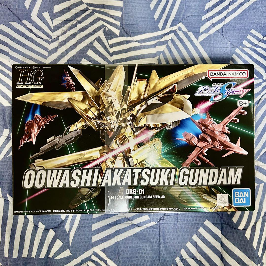 ガンプラ hg ガンダムSEED DESTINY 新品未開封