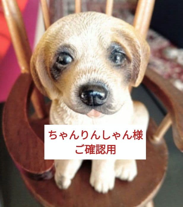 ちゃんりんしゃん様　キズの補修の確認用