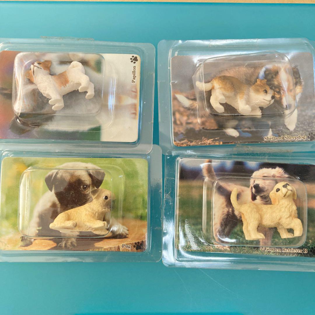 でこぼこフレンズ　カバヤ　食玩　フィギュア　ミニチュア Tiny Zoo(タイニーズー) ミニチュア フィギュア コレクション