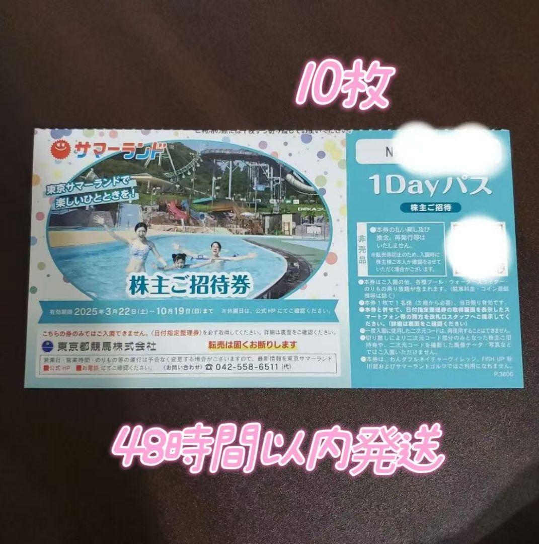 東京サマーランド 1Dayパス 10枚セット