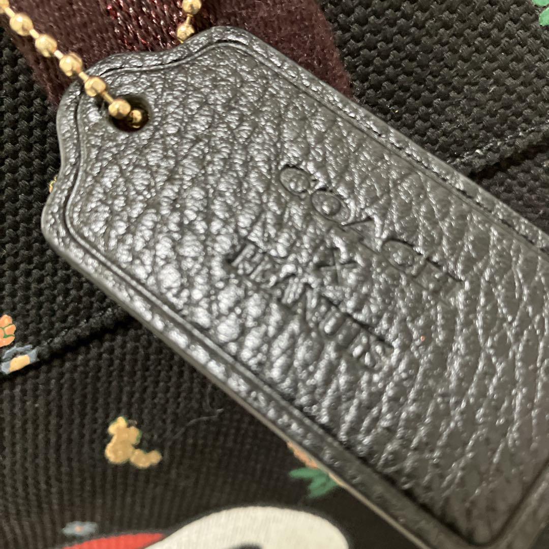 スヌーピー りんご