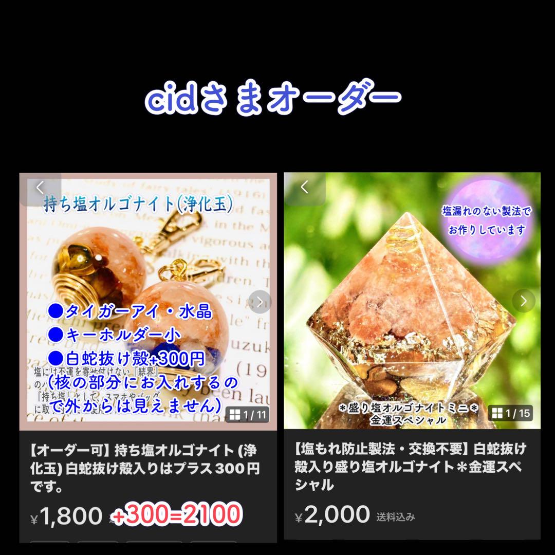 Syana【プロフ必読お願いします】さまオーダー＊白蛇抜け殻入りお守り＊６点 cidさまオーダー＊白蛇抜け殻入りお守り＊2点一 番 安い