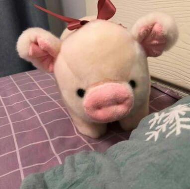 メルカリ 可愛い子豚のぬいぐるみ 豚の人形 うつ伏せ豚の抱き枕 5 300 中古や未使用のフリマ メルカリ 可愛い子豚のぬいぐるみ 豚の人形 うつ伏せ豚の抱き枕 5 300 中古や未使用のフリマ