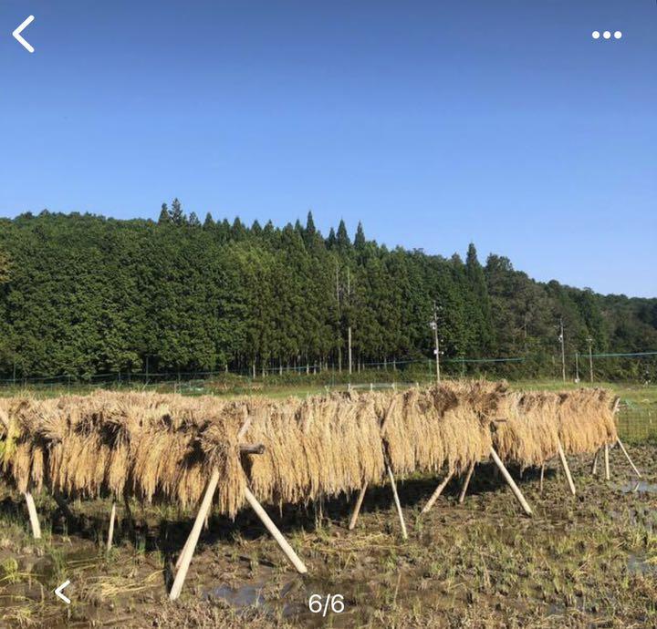 天日干しの美味しいお米 - メルカリ 天日干しの美味しいお米 - メルカリ