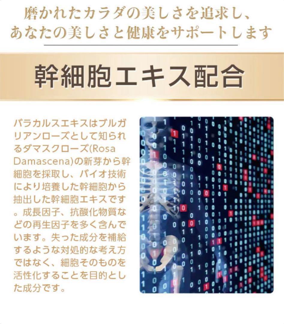 DDSステムサプリ テロメアプラス 健康寿命 染色体 若く強く 新品