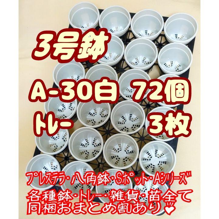 プラ鉢【A-30】72個+専用システムトレー3枚 スリット鉢プレステラ多肉植物☆