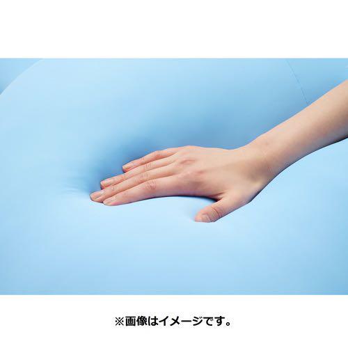 ポケモンセンターオリジナル ひんやりぬいぐるみ 等身大タマザラシ Akadiamondtools Com